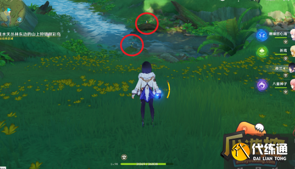 原神与珍稀之鸟的短暂邂逅任务怎么做,原神与珍稀之鸟的短暂邂逅任务完成攻略