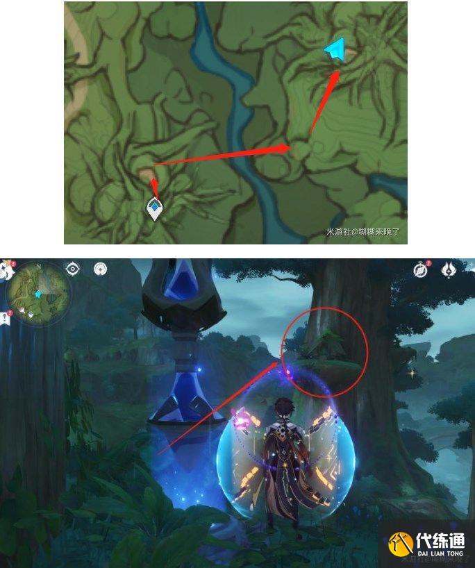 原神水天丛林解密攻略 善见地的水天丛林解密流程[多图]图片2
