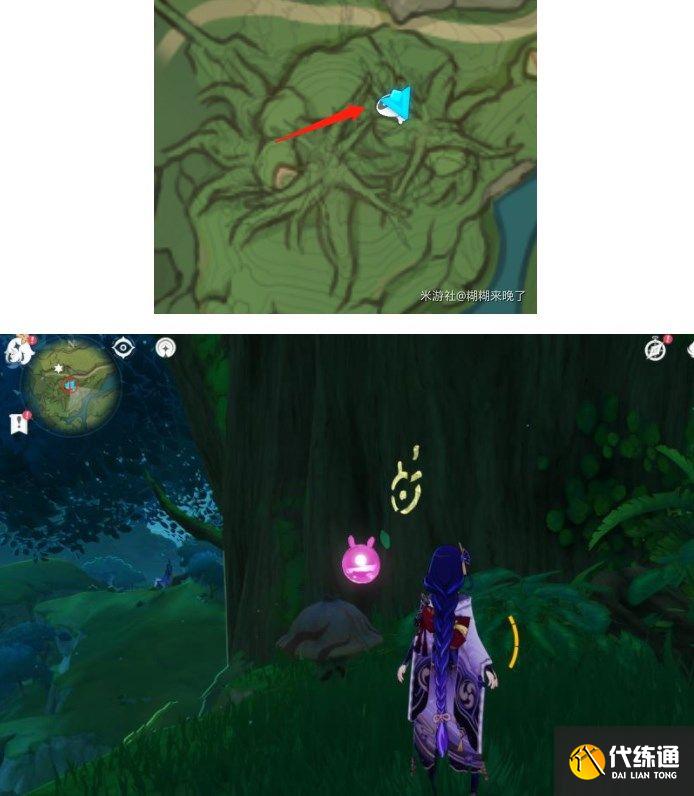 原神水天丛林解密攻略 善见地的水天丛林解密流程[多图]图片5