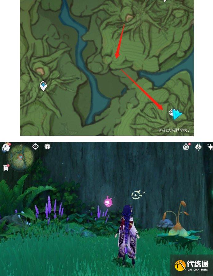 原神水天丛林解密攻略 善见地的水天丛林解密流程[多图]图片6