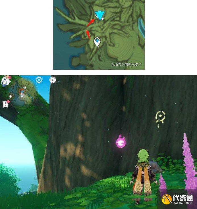 原神水天丛林解密攻略 善见地的水天丛林解密流程[多图]图片11