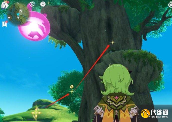 原神水天丛林解密攻略 善见地的水天丛林解密流程[多图]图片12