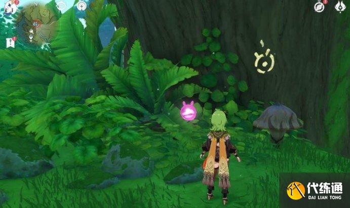 原神水天丛林解密攻略 善见地的水天丛林解密流程[多图]图片14
