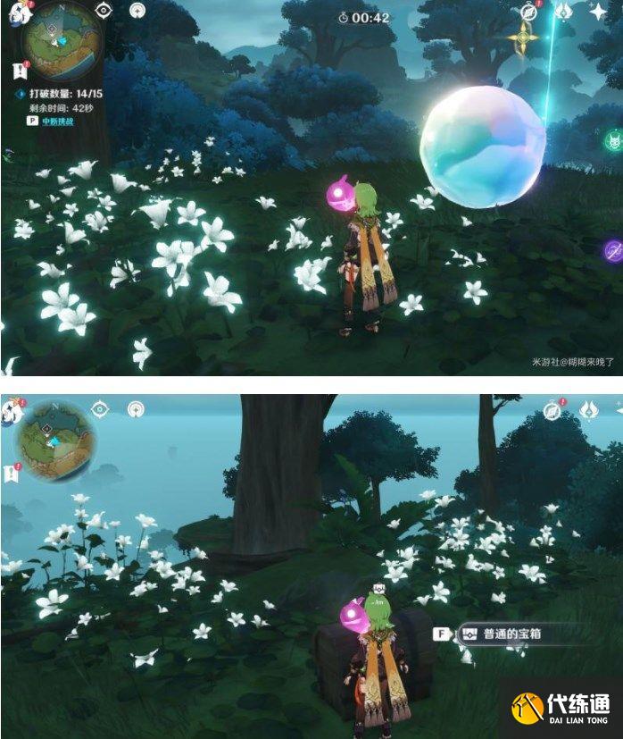 原神水天丛林解密攻略 善见地的水天丛林解密流程[多图]图片17