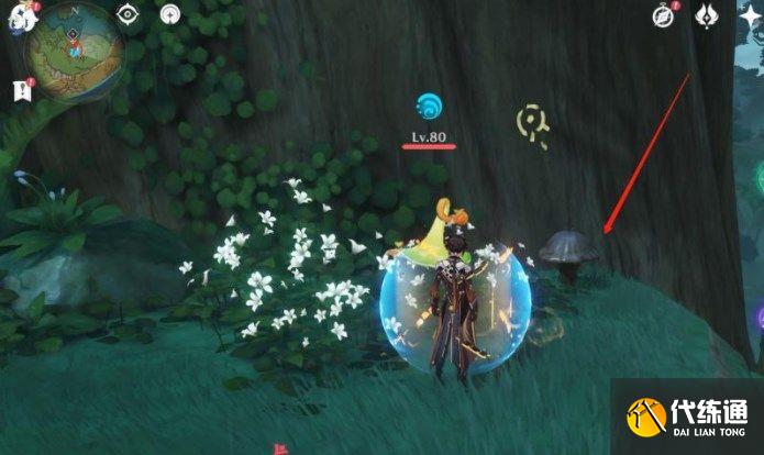 原神水天丛林解密攻略 善见地的水天丛林解密流程[多图]图片20