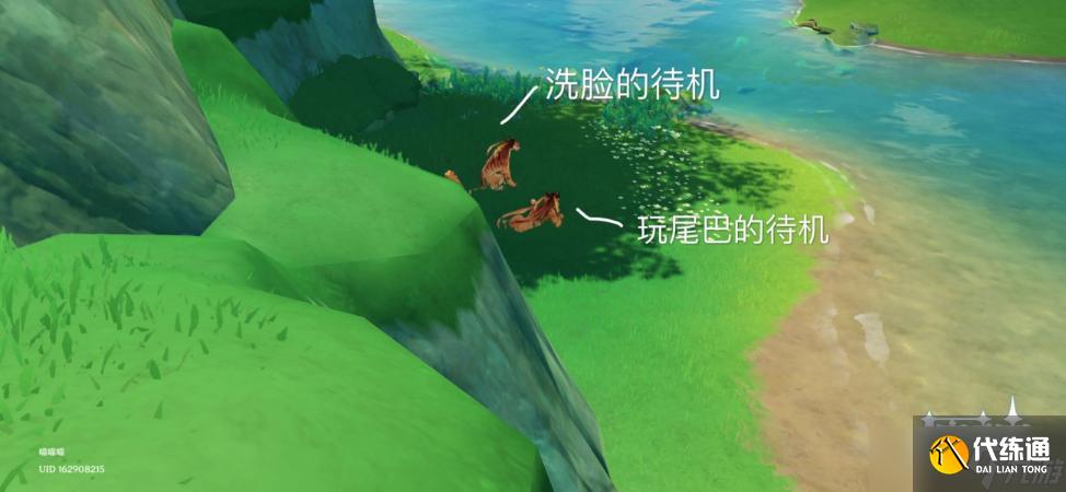 《原神》长鬓虎戏弄尾巴状态拍摄方法分享