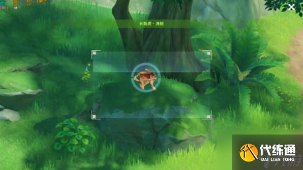 原神长鬓虎蹲下洗脸怎么拍摄？长鬓虎蹲下洗脸拍摄方法