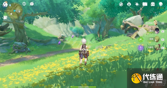 《原神》须弥二净甸隐藏宝箱在哪？须弥二净甸隐藏宝箱位置分享