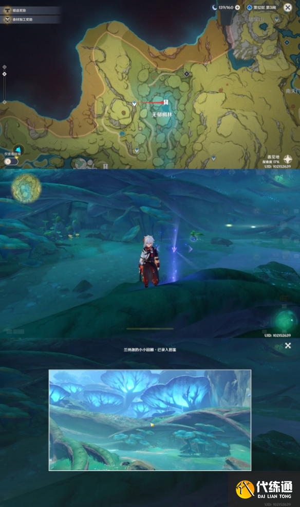 神3.0须弥观景点大全 3.0版本观景点位置分布图[多图]图片13