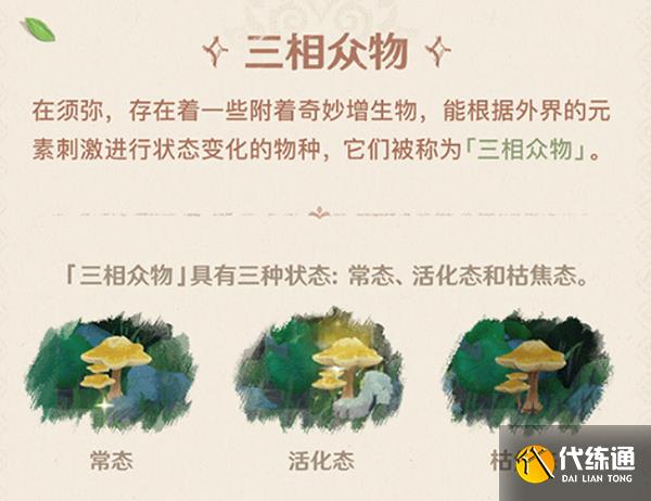 原神雕琢童心掠影拾真攻略 雕琢童心掠影拾真拍摄都在哪