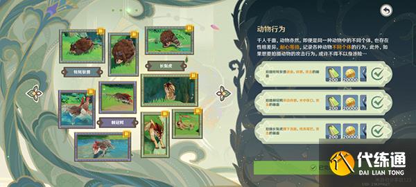 原神雕琢童心掠影拾真攻略 雕琢童心掠影拾真拍摄都在哪