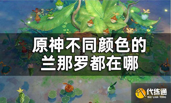原神恒那兰那兰那罗拍摄攻略 不同颜色的兰那罗都在哪
