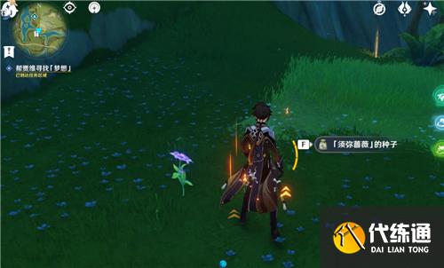 原神须弥蔷薇的种子在哪里获得 收集蔷薇的种子攻略