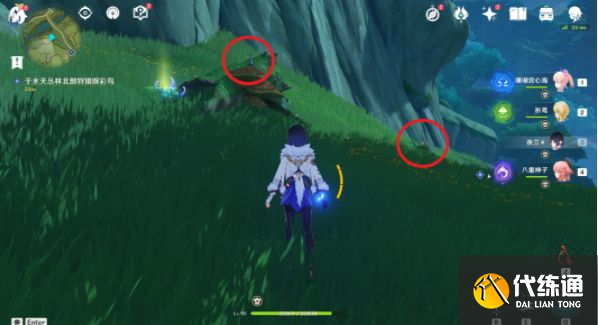 原神暝彩鸟飞走了怎么办 暝彩鸟多久刷新位置在哪[多图]图片4