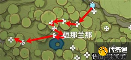 原神帕蒂沙兰采集路线图 位置分布图