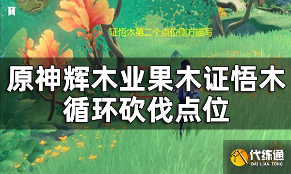 原神王树的瑞佑最佳使用点位 辉木业果木证悟木循环砍伐点位