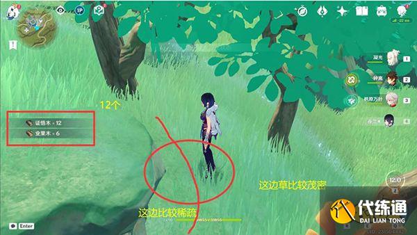 原神王树的瑞佑最佳使用点位 辉木业果木证悟木循环砍伐点位