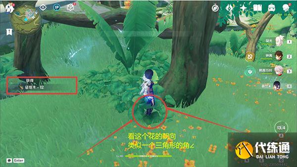 原神王树的瑞佑最佳使用点位 辉木业果木证悟木循环砍伐点位