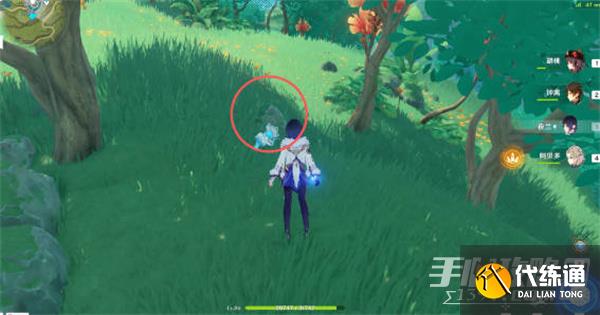 《原神》证悟木最快收集攻略