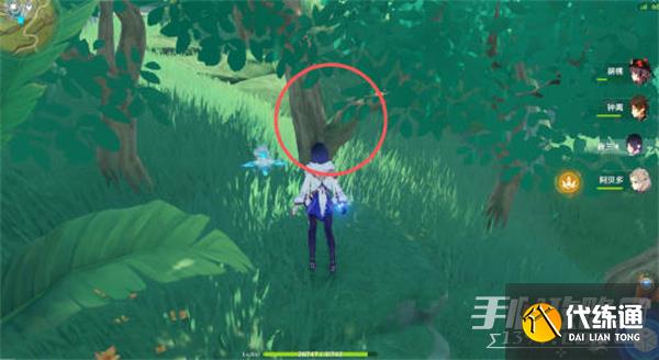 《原神》证悟木最快收集攻略