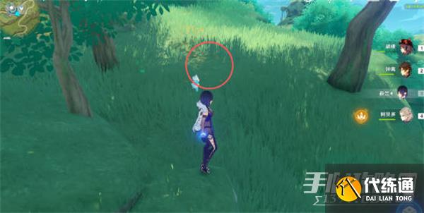 《原神》证悟木最快收集攻略