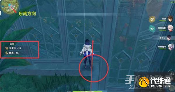 《原神》辉木采集位置