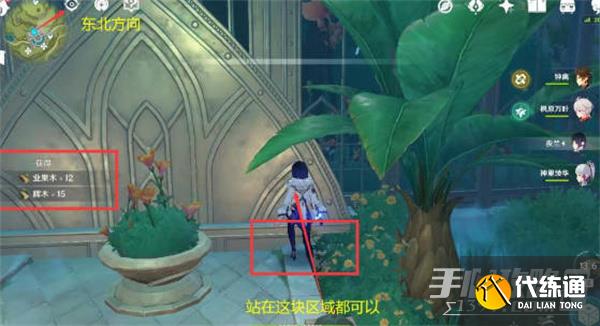 《原神》辉木采集位置