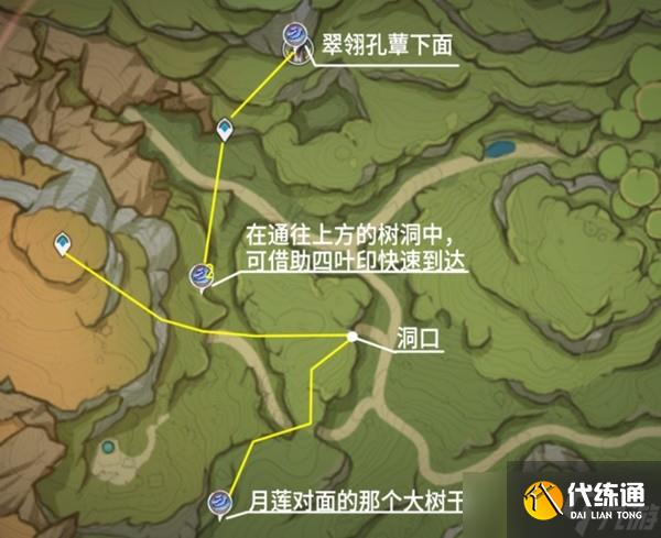 《原神》树王圣体菇采集路线推荐 树王圣体菇哪里买？