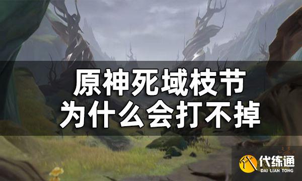 原神死域枝节打不掉怎么办 死域枝节为什么会打不掉