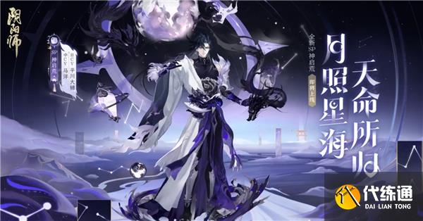 阴阳师sp神启荒最佳加点攻略