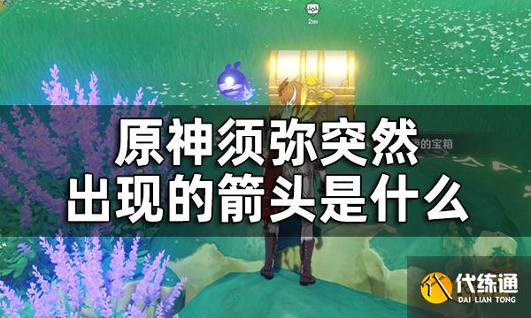 原神须弥三箭头指引的华丽宝箱获取方法攻略 须弥突然出现的箭头是什么
