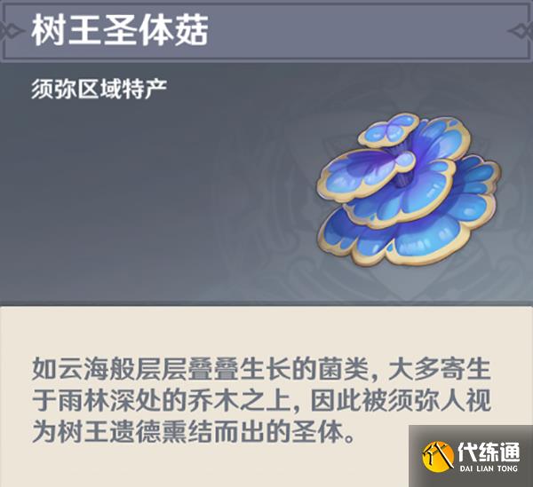 原神须弥攻略大合集 须弥任务 草神瞳 宝箱探索攻略汇总