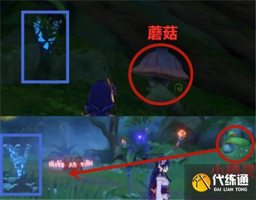 原神须弥蓝色火把怎么点燃-须弥蓝色火把点燃方法