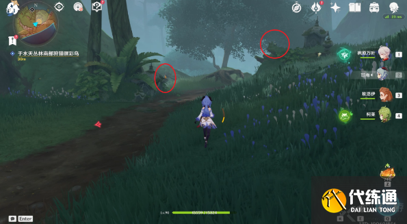 原神与珍稀之鸟类的短暂邂逅任务攻略