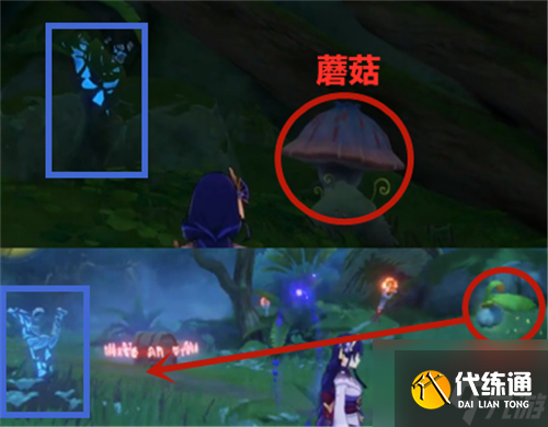 原神手游须弥蓝色火把怎么点燃 须弥蓝色火把点燃方法