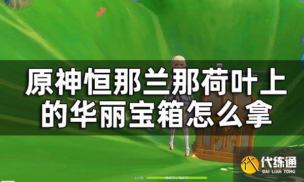 原神恒那兰那2个华丽宝箱获取攻略 恒那兰那荷叶上的华丽宝箱怎么拿