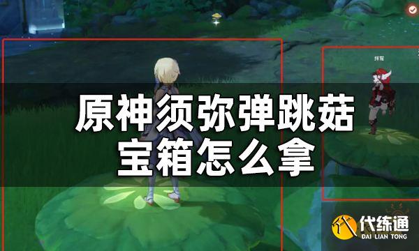 原神须弥三个弹跳菇隐藏宝箱收集攻略 须弥弹跳菇宝箱怎么拿