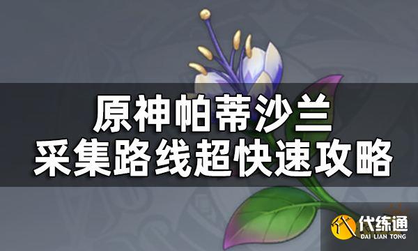 原神帕蒂沙兰位置一览 帕蒂沙兰采集路线超快速攻略