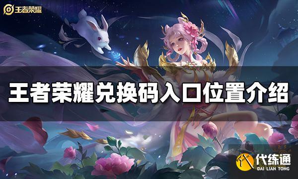 王者荣耀兑换码入口在哪里 兑换码入口位置介绍