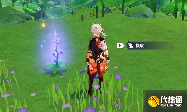 原神桓斯弥利底位置 桓斯弥利底苗圃都在哪