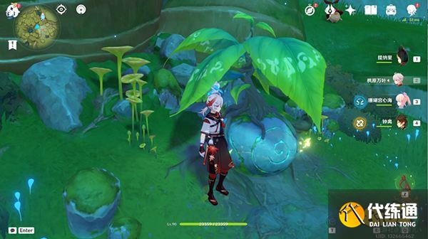 原神水天供书后续新蓓萌生任务攻略 水天供书现实中的苗圃如何开满甜甜花