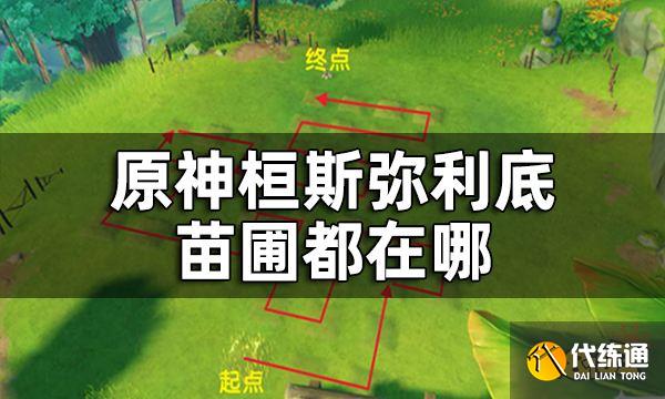 原神桓斯弥利底位置 桓斯弥利底苗圃都在哪