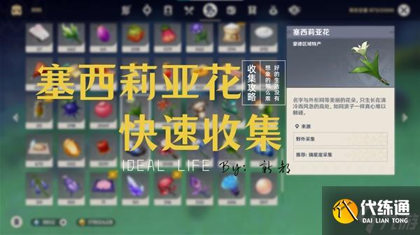 《原神》塞西莉亚花采集路线推荐