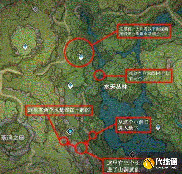 原神柯莱突破材料采集攻略 柯莱突破材料树王圣体菇采集路线图[多图]图片7