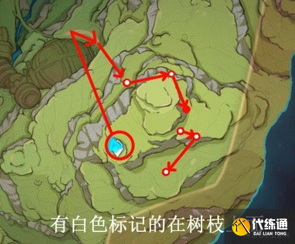 原神柯莱突破材料采集攻略 柯莱突破材料树王圣体菇采集路线图[多图]图片6