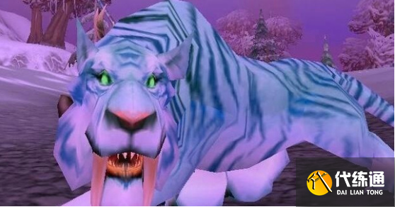 魔兽世界巫妖王之怒猎人宝宝怎么选择3.png