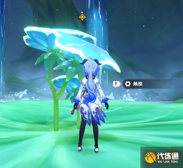 原神秘境千柱的花园介绍一览 千柱的花园如何开启