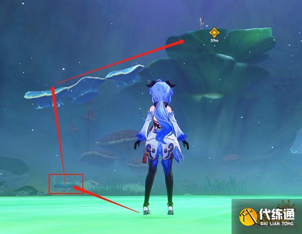 原神秘境千柱的花园介绍一览 千柱的花园如何开启