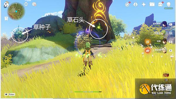 原神须弥16处潜在死域位置一览 未成形死域都在哪