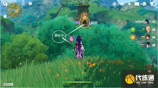 原神须弥16处潜在死域位置一览 未成形死域都在哪